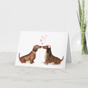 Dachshunds i kärlek Valentinkortet (två flickor) Kort