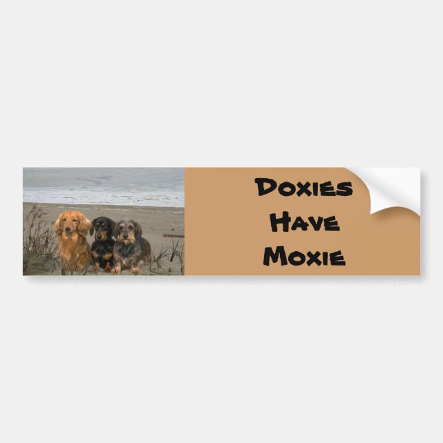 Dachshunds Moxie Bildstämpel Strand Bildekal (Framsidan)