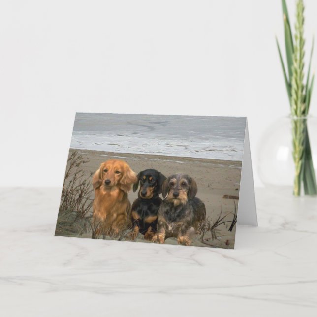 Dachshunds på visitkortet kort (Framsida)