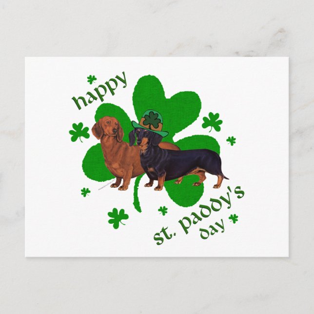 Dachshunds St patrick's day Vykort (Framsida)