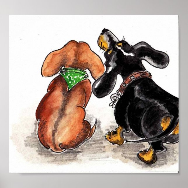 Dachshunds tittar på... poster (Framsidan)