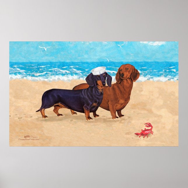 Dachshunds vid Beach Poster (Framsidan)
