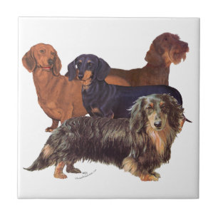 Dachshundvarianter Kakelplatta