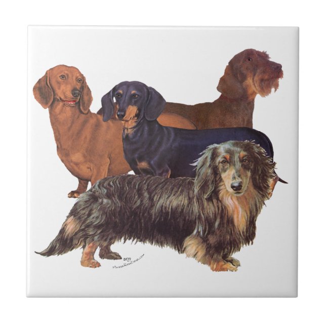 Dachshundvarianter Kakelplatta (Framsidan)