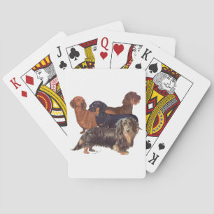 Dachshundvarianter Spel Kort