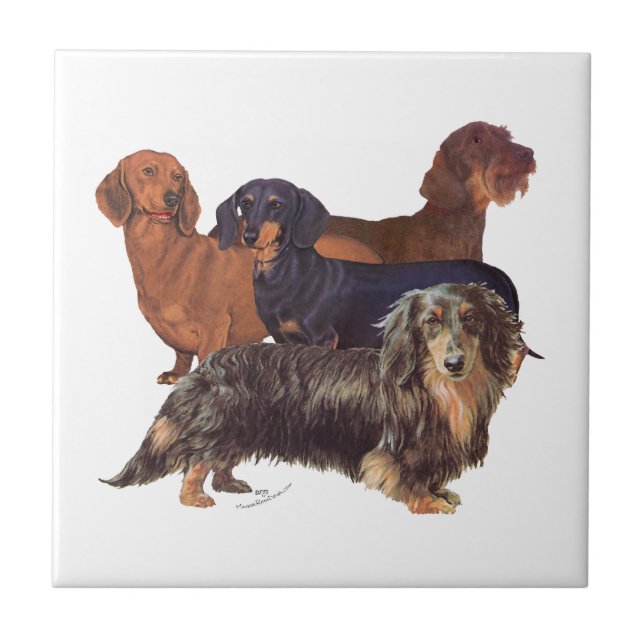 Dachshundvariationer Kakelplatta (Framsidan)