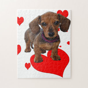 Dachsie Dachshund med Hearts Pussel