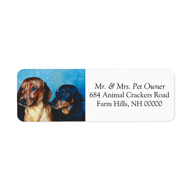 Dachsund Puppies Returadress Mail Stickers Returadress Etikett (Framsidan)