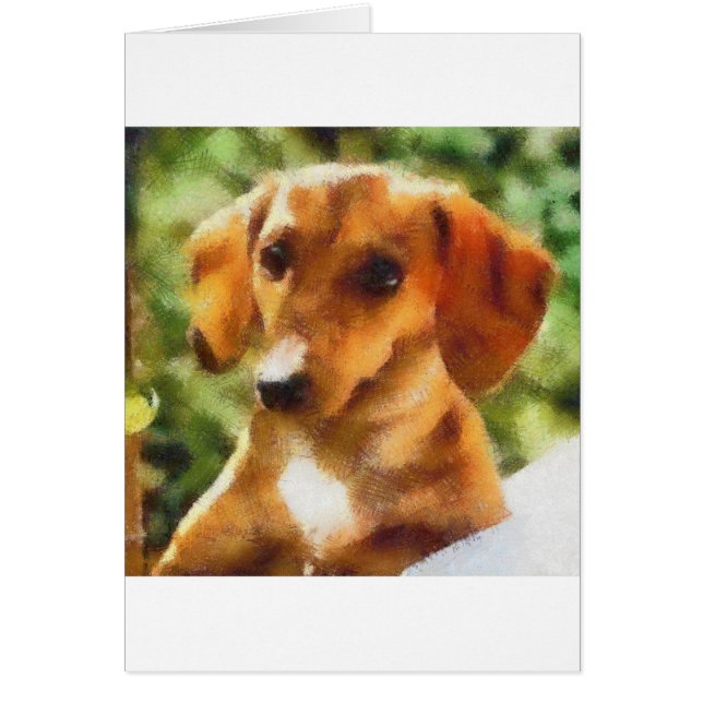 Dachsy Hälsningskort (Framsidan)