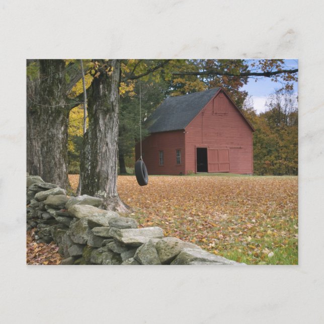 Däck som svänger längs en väg i södra Vermont. Vykort (Framsida)