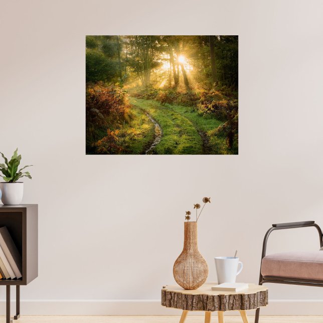 Däck Spår i Skogen Poster konstverk Mural (Tracks in Forest)