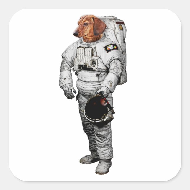 Dackel Astronaut Klistermärke (Framsida)