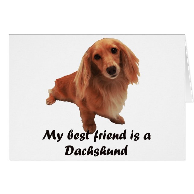 ’Dackel’ Hälsningskort (Framsidan Horizontal)