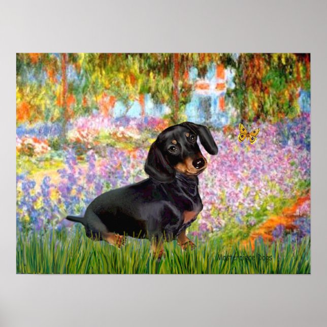 Dacshund (svart och brun 16) -  Trädgård Poster (Framsidan)