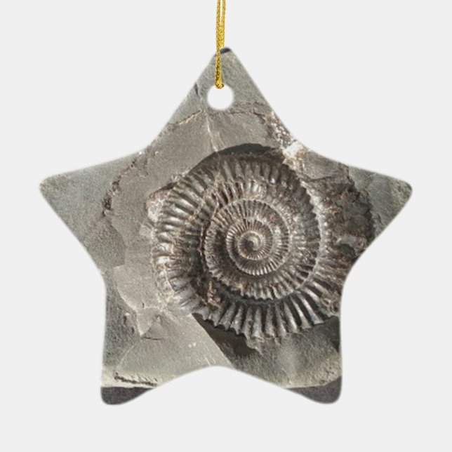 Dactylioceras ammonite i sten julgransprydnad keramik (Framsidan)