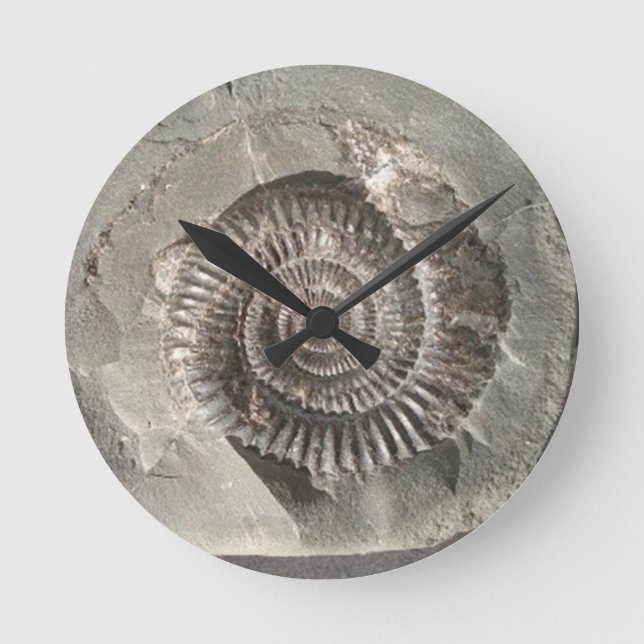 Dactylioceras ammonite i sten rund klocka (Framsida)