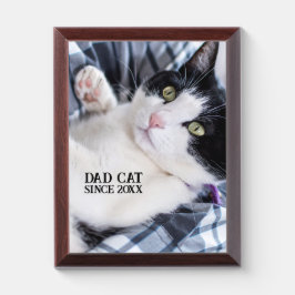 Daddy cat since Photo cute cat