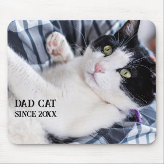 Daddy cat since Photo cute cat Musmatta
