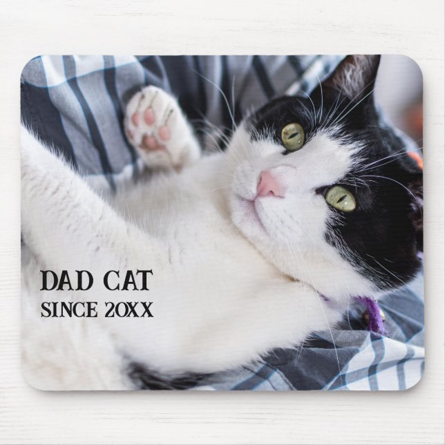 Daddy cat since Photo cute cat Musmatta (Framsidan)