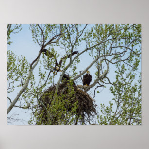 Daddys hem poster