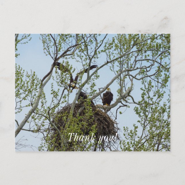 Daddys hem vykort (Framsida)