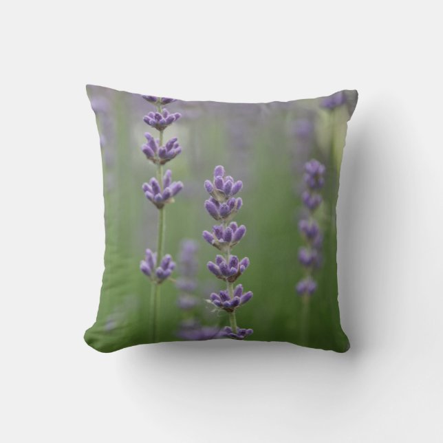 Daety Lavender Dekorativ kudde (Framsida)