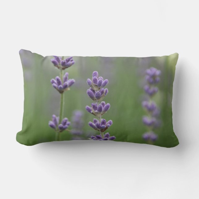 Daety Lavender Lumbar Pillow Lumbarkudde (Framsida)