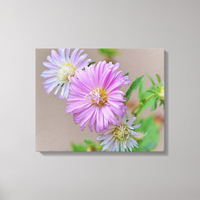 Daety Rosa Aster Flowers Canvas Art Skriv ut (Framsida)