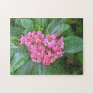 Daety Rosa Flowers Garden Blommigt Puzzle Pussel