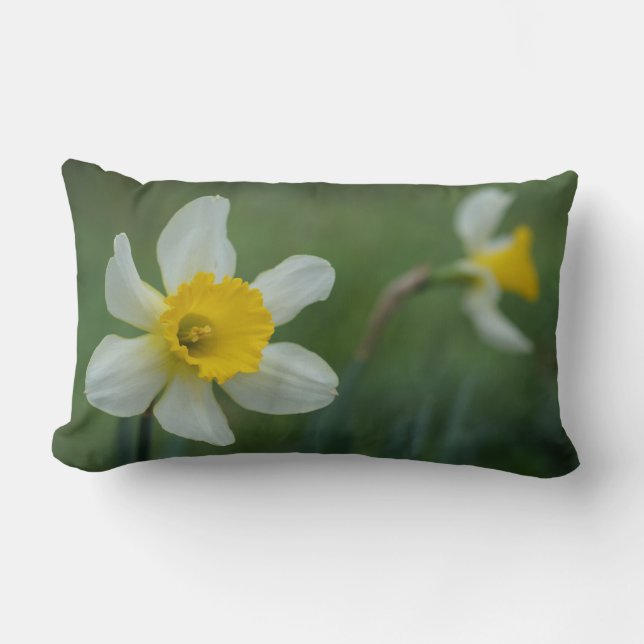 Daff-o-dilly! Lumbarkudde (Framsida)