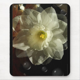 Daffidol Dreams Musmatta