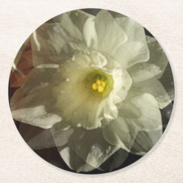 Daffidol Dreams Underlägg Papper Rund