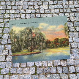 Daffin Park Sjö View Savannah GA retro Vykort