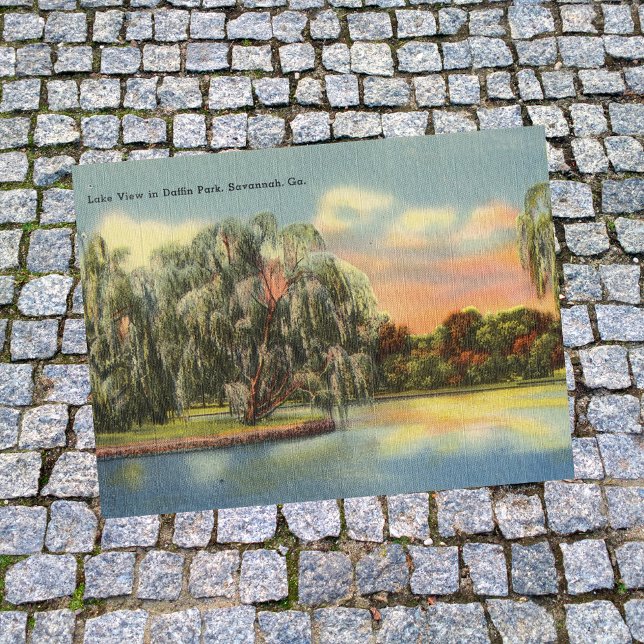 Daffin Park Sjö View Savannah GA retro Vykort (Skapare uppladdad)