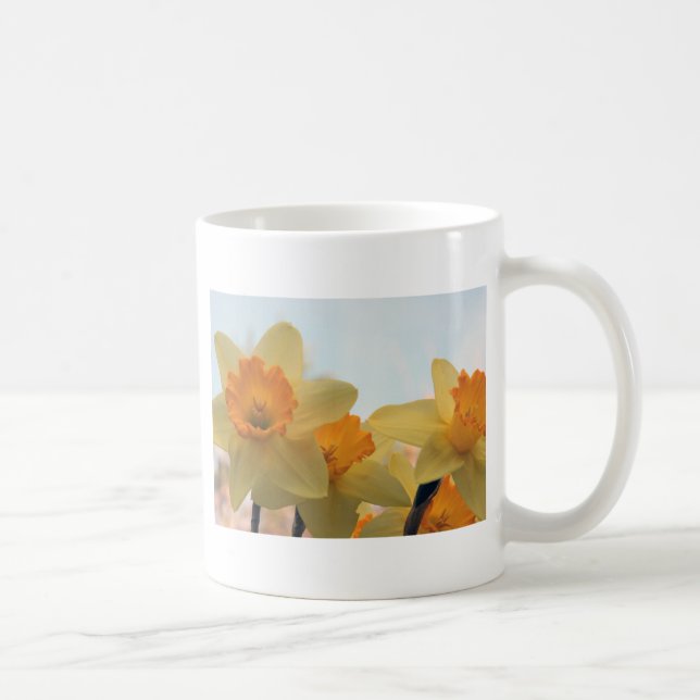Daffodialer Kaffemugg (Höger)