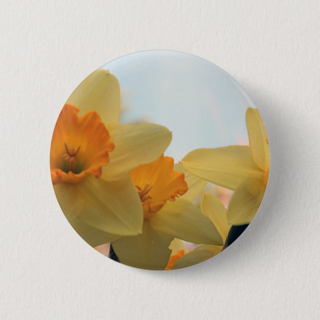 Daffodialer Knapp (Framsida)