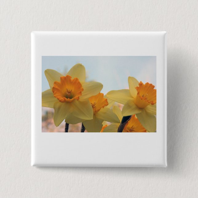 Daffodialer Knapp (Framsida)