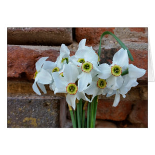 daffodier nära fästningsväggen hälsningskort