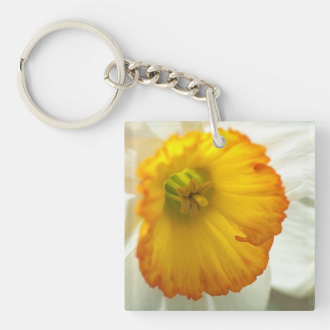 Daffodil (Framsidan)