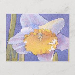 Daffodil 2003 vykort