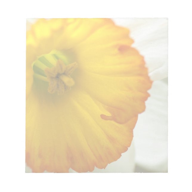 Daffodil Anteckningsblock (Framsida)