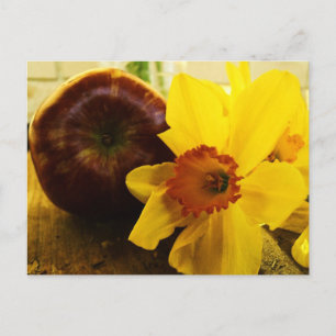 Daffodil & Apple-vykort Vykort