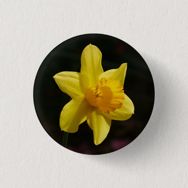 Daffodil Badge Knapp (Framsida)