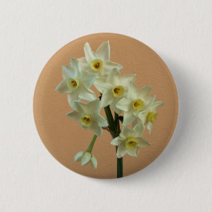 Daffodil Badge Knapp