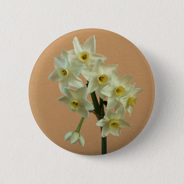 Daffodil Badge Knapp (Framsida)