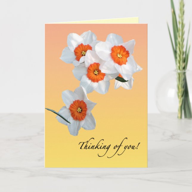 Daffodil Birthday Kort (Framsida)