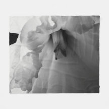 Daffodil Black and White Photography