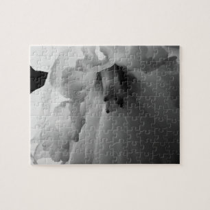 Daffodil Black and White Photography Pussel
