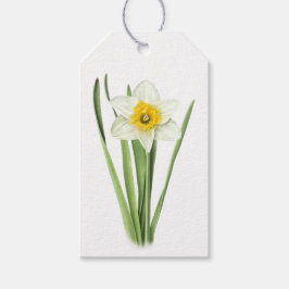 Daffodil Blommigt Design Botanical Art Presentetikett