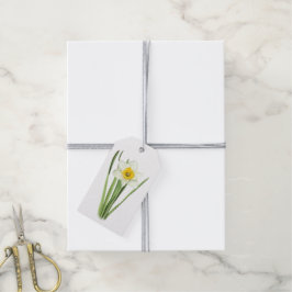 Daffodil Blommigt Design Botanical Art Presentetikett